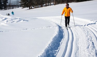 Männer und Frauen beim Langlaufen auf verschneiten Loipen in einer winterlichen Landschaft.