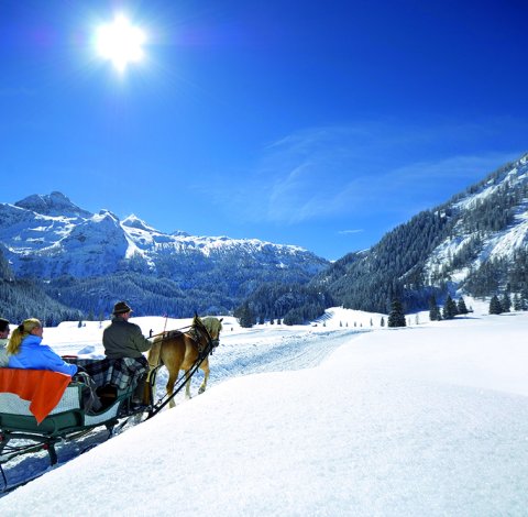 Pferdeschlittenfahrt durch verschneite Berglandschaft.