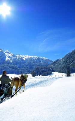 Pferdeschlittenfahrt durch verschneite Berglandschaft.