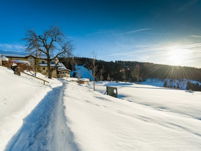 Verschneiter Weg zu einer sonnigen Berghütte.